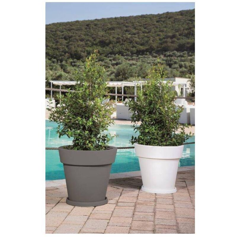 TRIXIE ZAINO e TRASPORTINO TARA 2 in 1,25×38×50cm TRIXIE ZAINO e TRASPORTINO TARA 2 in 1,25×38×50cm