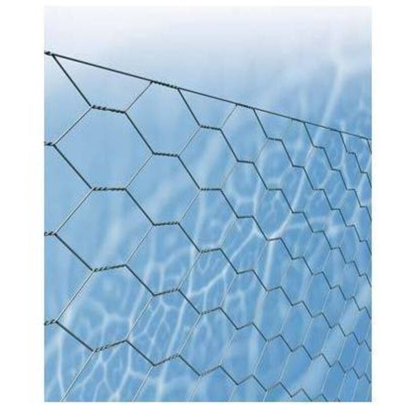 Rete Metallica Zincata Tripla Torsione - Rotolo 25m, Maglia 16/2, Altezza 200cm - Foto 3