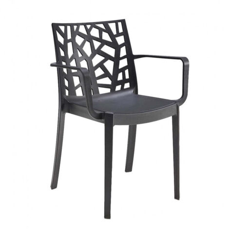 Bica – Fauteuil de jardin empilable en polypropylène renforcé – Accoudoirs – Hauteur d'assise 46 cm – Charge maximale 110 kg – Pour usage intérieur et extérieur (1/4)