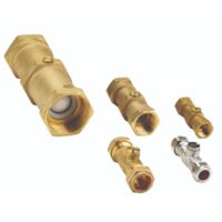15mm Floguard Double Check Valve - Nickel Plated