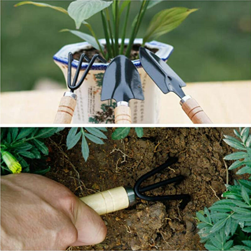 Lot de 16 outils de jardin pour plantes succulentes - Tapis de rempotage -  Outils miniatures pour plantes succulentes - Pour l'entretien des plantes