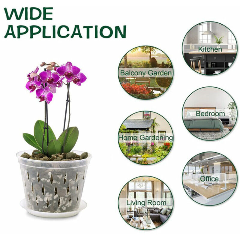 Pots à orchidées en plastique transparent avec trous : : Terrasse  et Jardin