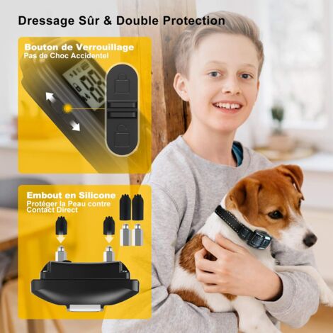 Collier de Dressage pour Chien: Télécommande 900M, 3 Modes Bip Vibration Choc - Éducation Positive et Rechargeable pour Petit Grand Chien