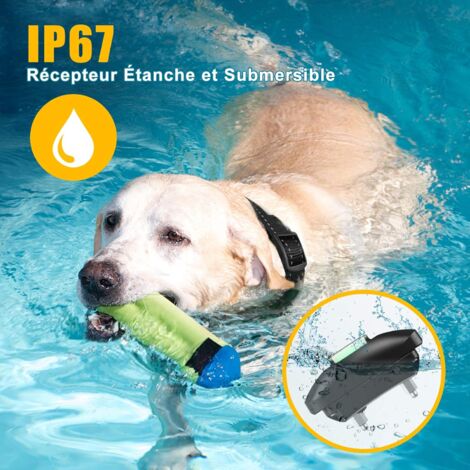 Collier de Dressage pour Chien: Télécommande 900M, 3 Modes Bip Vibration Choc - Éducation Positive et Rechargeable pour Petit Grand Chien
