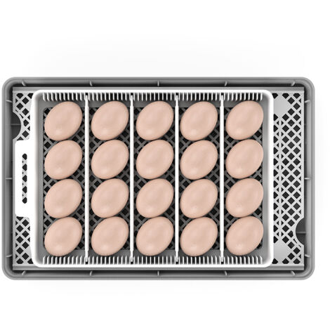 Lampe De Mirage LED Pour œufs De Poule,Lumière Froide