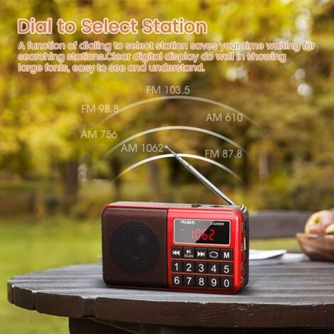 J-429 Petite Radio Portable, AM/FM/SW Radio Rechargeable avec Haut-Parleur AUX/SD/TF/MP3. Radio à Piles avec Gros Boutons et Grand écran. (Pas de Prise Charge des Stations prédéfinies)