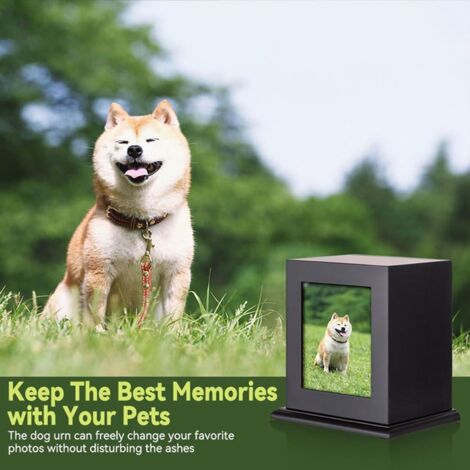 Urne funéraire pour Animaux de Compagnie, Chien ou Chat, urne funéraire commémorative en Bois Massif Pur avec Cadre Photo