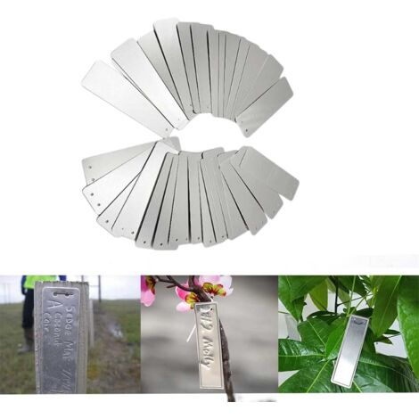 Lot De 50 étiquettes En Bambou à Coller En Forme De T Pour Plantes