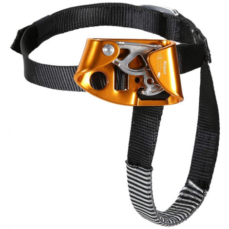 Lot De 10 Appareils De Rappel Pour Alpinisme, Paracorde - Équipement De Descendeur - Pour Travaux Aériens, Escalades, Descente - Équipement De Sport - Orange