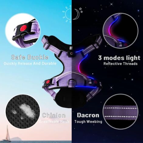 Harnais pour chien lumineux à LED : gilet réglable réfléchissant avec harnais pour animaux de compagnie rechargeable et sans étranglement, poignée de contrôle facile (violet, M)
