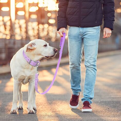 Laisse imperméable pour chien: laisses pour chiens standard avec 2