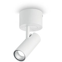 Dekoratives LED-Aufbau-Downlight Schwarz Weiß, 3000K