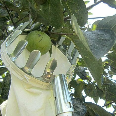 Boite de rangement outils et accessoires de jardin - Coloris vert pomme
