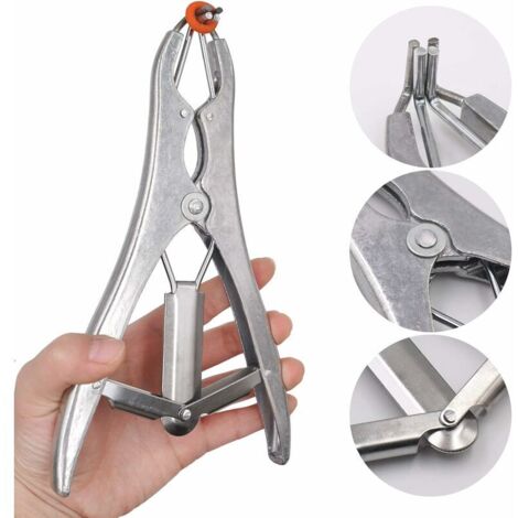 Pince De Castration Pour Porc, Mouton Et Bovin - SHIPENOPHY - Anneaux
