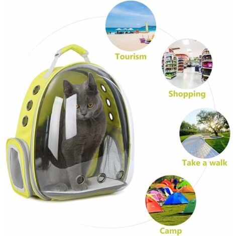 Cat store globe backpack