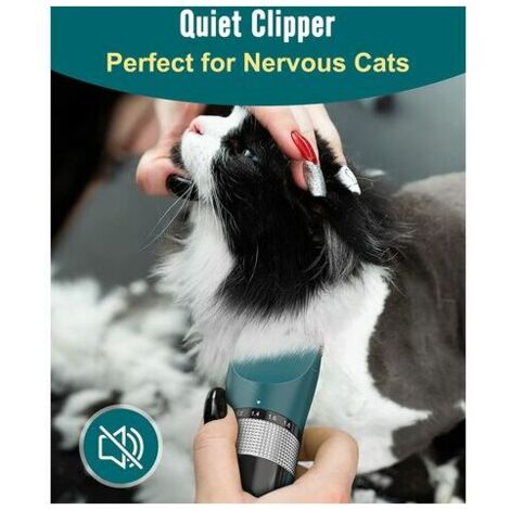 Long hair cat outlet grooming kit