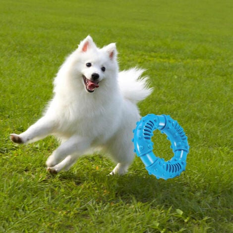 Need Dog Frisbee Dropship Puller Outdoor Dog Ring Toys Dog Fetch