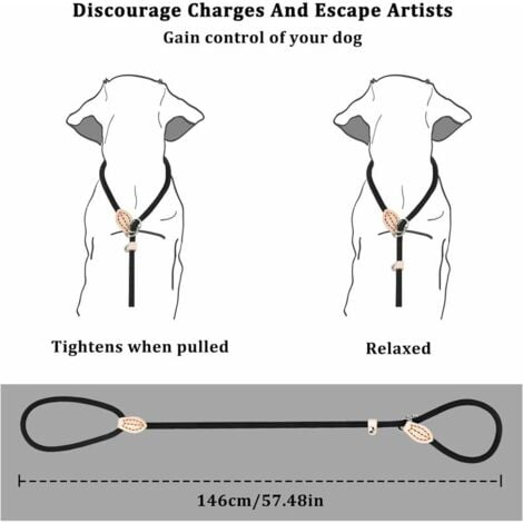 Lasso store dog leash