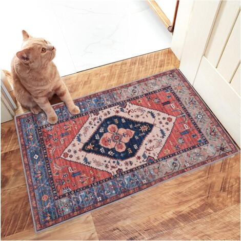 AlwaysHIndoor Doormat Retro Indoor Floor Mat, Non-Slip Front Door Mat, Soft, Quickly Absorbent, Entrance Doormats, Dust and Dirt Resistant for Entrance - 20 x 31.5 Inches