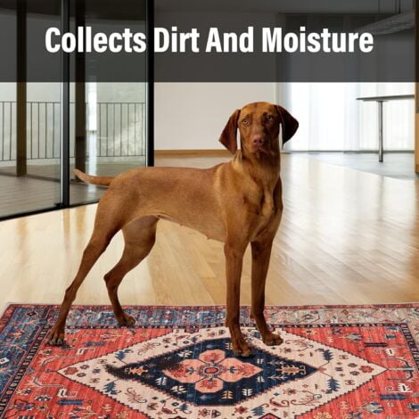 AlwaysHIndoor Doormat Retro Indoor Floor Mat, Non-Slip Front Door Mat, Soft, Quickly Absorbent, Entrance Doormats, Dust and Dirt Resistant for Entrance - 20 x 31.5 Inches