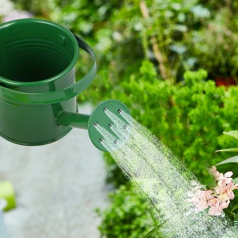 Stück Metallgießkanne Gartenbewässerungseimer (grün und hellgrün