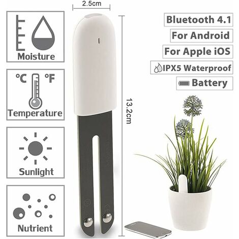 Acheter Humidimètre du sol, testeur d'humidité du sol, hydromètre pour  plantes