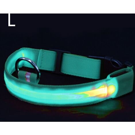 Collier lumineux à LED pour chien – Haute visibilité & ajustable