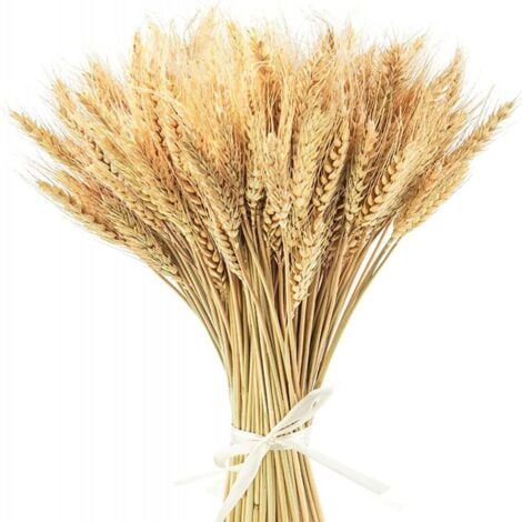 Fleurs Séchées,100 pcs Blé Séché Bouquets , 40 cm Naturel Fleur Bouquet de Fleurs Sechees pour Vases,  Decoration Chambre Maison Salon, Mariage Photographier Table Décoration