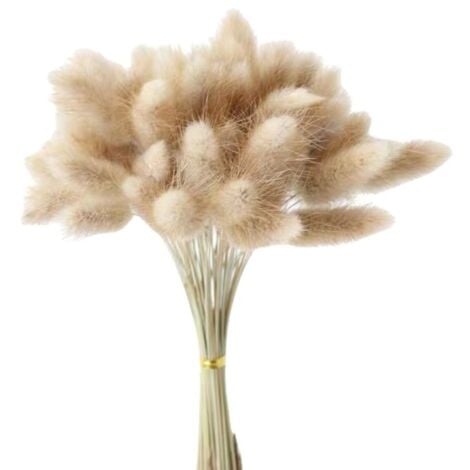 90 Pièces Pampas Herbe Vase DéCoratif Home Arrangements, Herbe de Pampa SéChéE Plantes Fluffy Fleurs SéChéEs 55 Cm
