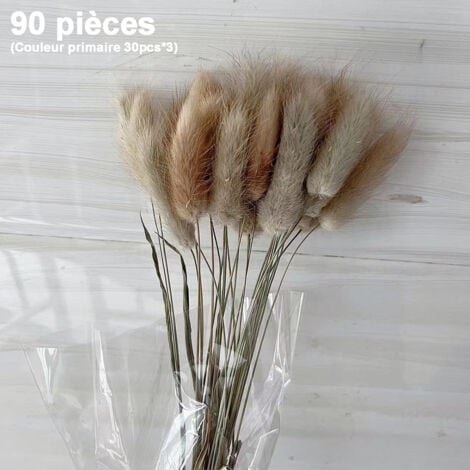 90 Pièces Pampas Herbe Vase DéCoratif Home Arrangements, Herbe de Pampa SéChéE Plantes Fluffy Fleurs SéChéEs 55 Cm