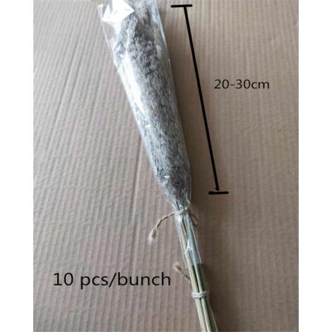 20pcs herbe de pampa séchée naturelle fleurs séchées arrangement de bouquet de fleurs séchées pour la décoration de la maison (50-55cm)