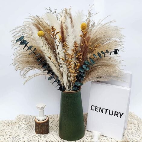 Fleurs séchées, Naturelles Herbe de la Pampa-7 Types différents d'eucalyptus séchées décoration