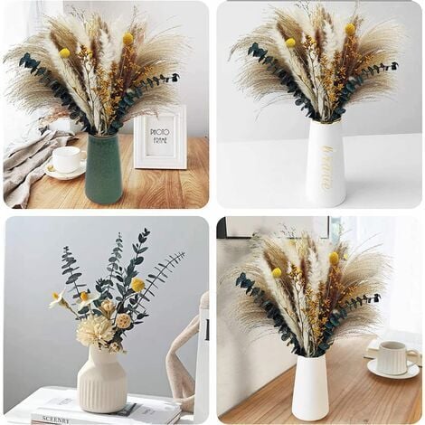 Fleurs séchées, Naturelles Herbe de la Pampa-7 Types différents d'eucalyptus séchées décoration
