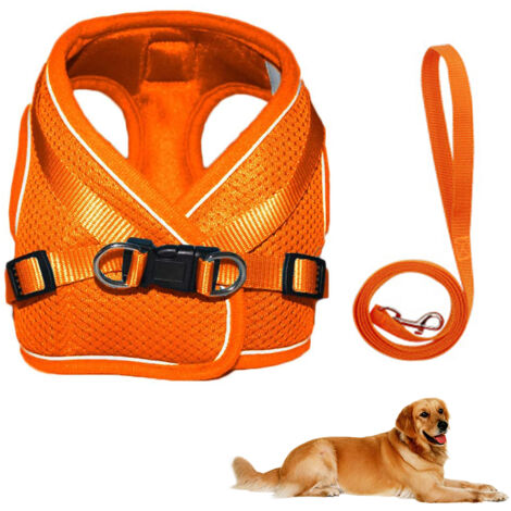 Harnais pour chien Harnais de sécurité anti-traction/sans traction Harnais de poitrine pour chien petit/moyen rembourré doux et respirant (M, Orange)