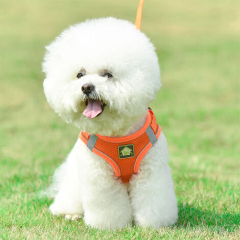 Harnais pour chien Harnais de sécurité anti-traction/sans traction Harnais de poitrine pour chien petit/moyen rembourré doux et respirant (M, Orange)