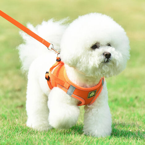 Harnais pour chien Harnais de sécurité anti-traction/sans traction Harnais de poitrine pour chien petit/moyen rembourré doux et respirant (M, Orange)