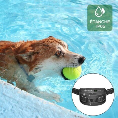Collier Anti-aboiement Chien - 3 Modes Choc Électrique/Vibration/Sensibilité Aide au Dressage Inoffensif Automatique IP65 Batterie Rechargeable Sangle Reflechissant Réglable