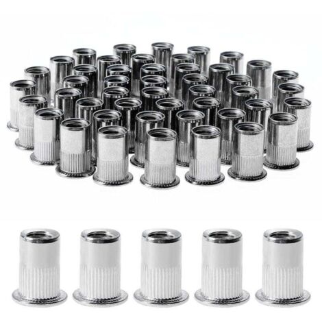 100 Pièces Rivet Ecrou M8, Écrous à Rivets en Acier Inox, Assortiment ...