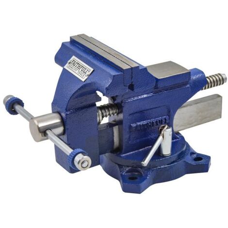 Faithfull Light Duty Mechanics Vice 100mm 4in Cast Iron FAIMV100SGLD