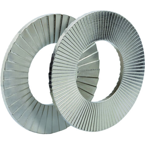Heico Wedge Lock Washers Delta Protekt M10 - Box of 200