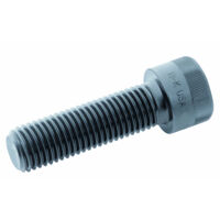 Holo-Krome Grade 12.9 Socket Caps M12 x 180 - Box of 10