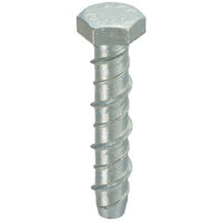 Thunderbolt All-Purpose Anchors M10 x 60 - Box of 50