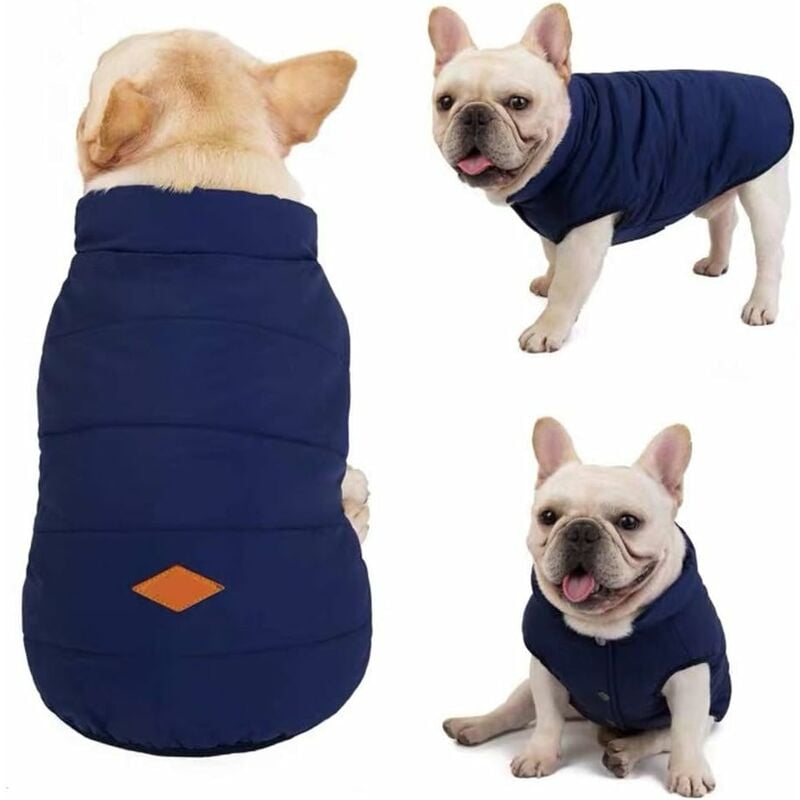 Manteau shops pour chien carlin