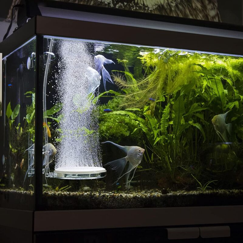 Pierre à Air Nano Pour Aquarium 80 Mm - Diffuseur à Bulles Fines Pour Oxygénation - Inclut Valve, Ventouses, Té Et Tuyau - 4