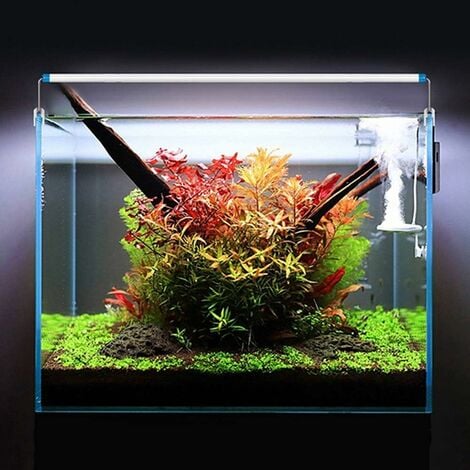 Éclairage LED aquarium