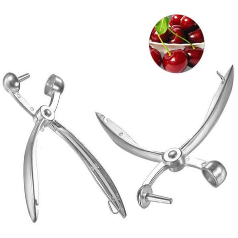 2PCS Denoyauteur a Cerise Olives Pitter Noyaux Extracteur Raisins Cranberries Extracteur de Cuisine Outil Créatif Cuisine Cerise Carottier