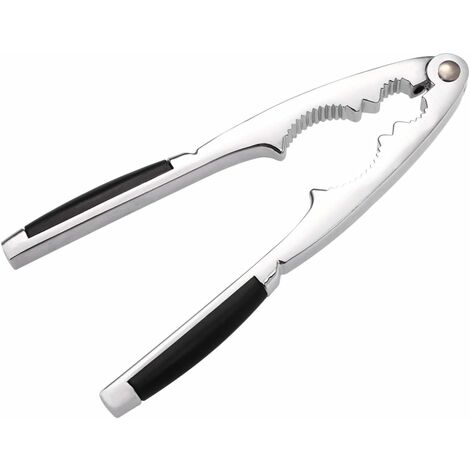 Ahval Casse-Noix, Noisettes, Noix De Pécan, Casse-Noix, Avec Anivelle