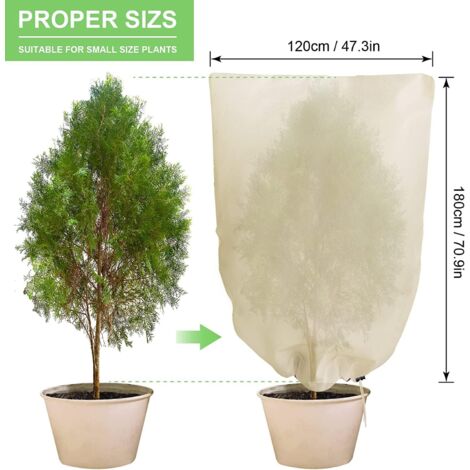 Lot De 2 Housses D'Hivernage Pour Plantes Extérieur – 80x100 Cm, Tissu Non Tissé Blanc – Protection Gel, Neige, Vent