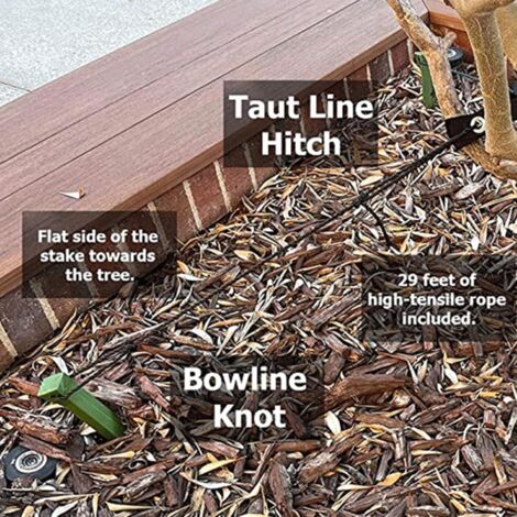 Kit De Tuteurage Pour Arbres 3 Pièces - Piquets Métalliques Avec Sangles Et Corde, Protection Vent