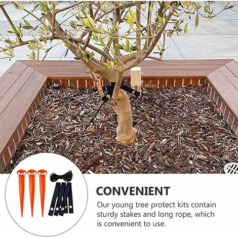 Ancrage de support de plantes pour terrasse extérieure, jeunes arbres, jardin fixe, kit de souche
